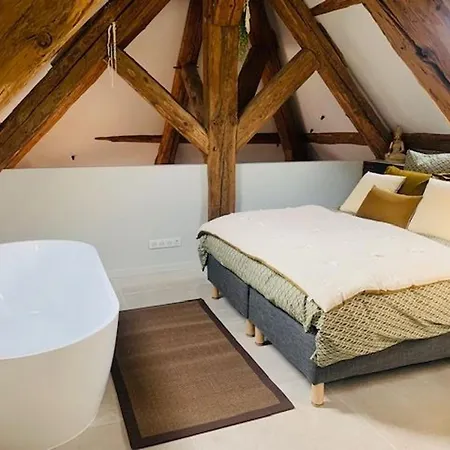 Loft Moderne Au Charme Ancien, Climatise, Pres De La Place Stanislas - Fr-1-584-352 公寓 南锡