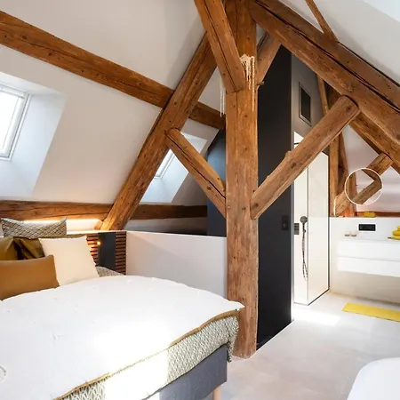 公寓 Loft Moderne Au Charme Ancien, Climatise, Pres De La Place Stanislas - Fr-1-584-352 南锡