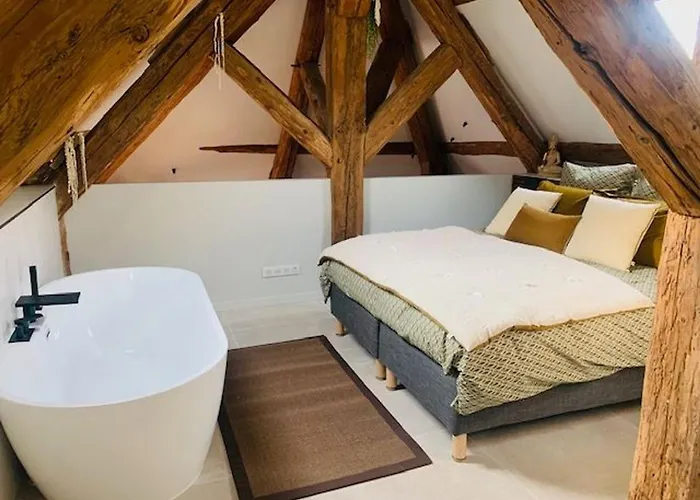 Loft Moderne Au Charme Ancien, Climatisé, Près De La Place Stanislas - Fr-1-584-352 Apartamento Nancy