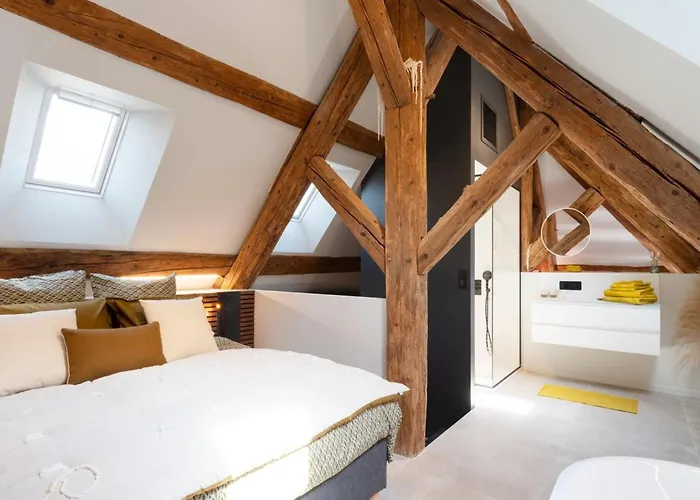 Apartamento Loft Moderne Au Charme Ancien, Climatisé, Près De La Place Stanislas - Fr-1-584-352 Nancy